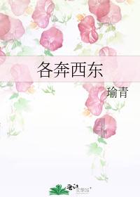 奔跑吧兄弟第五季